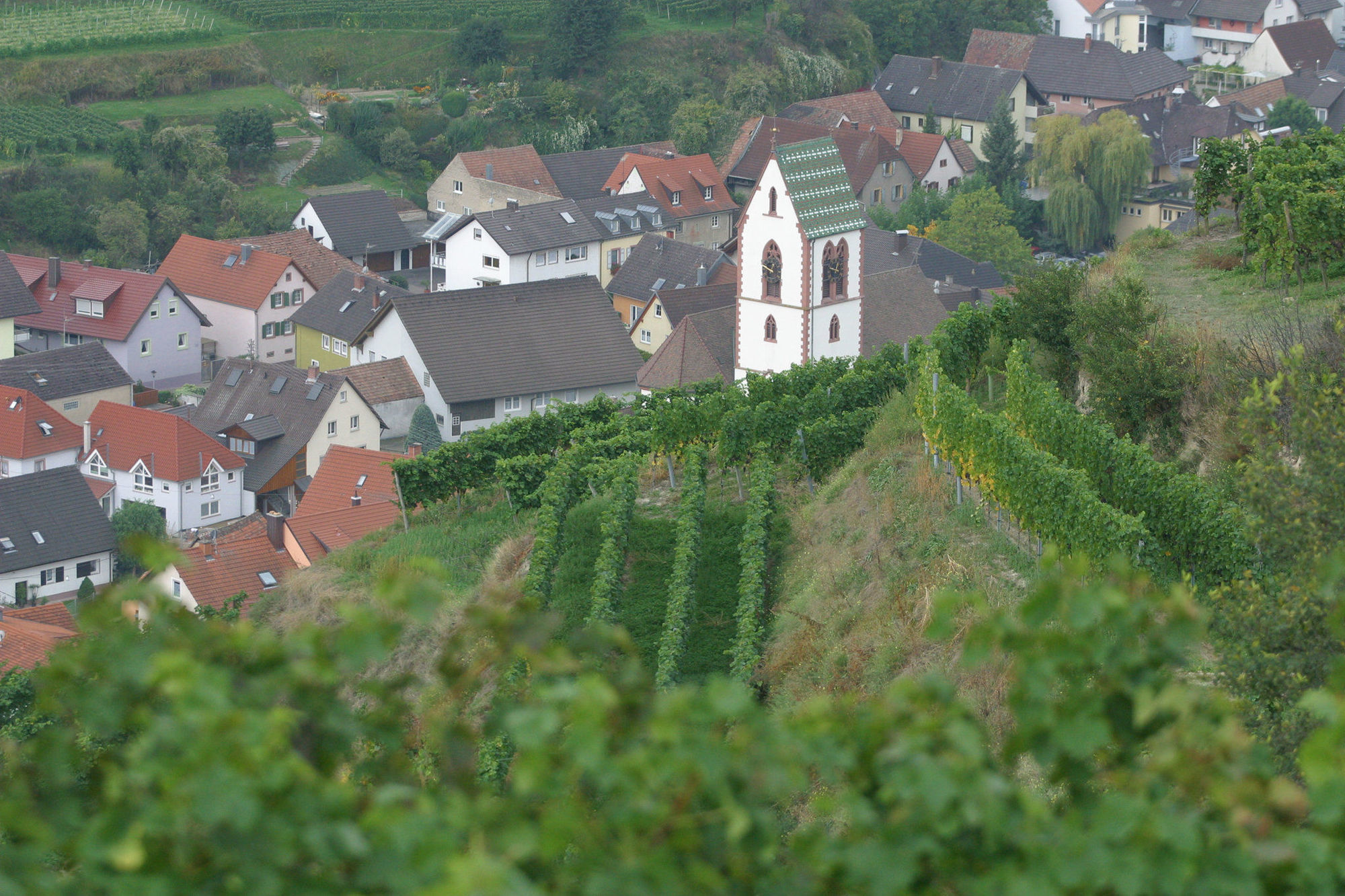 Schwarzer Adler Hotel Vogtsburg Exterior photo
